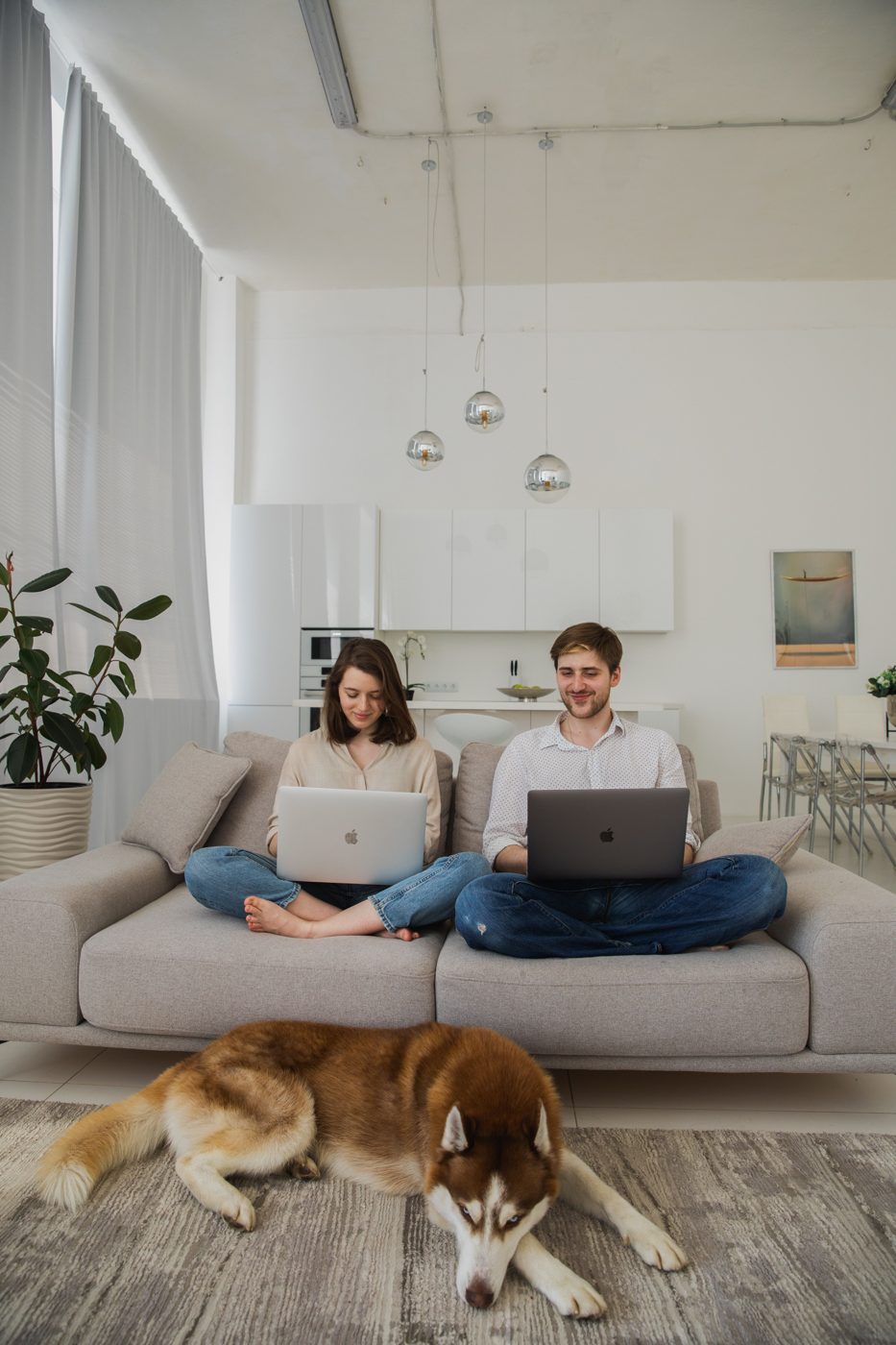 Zwei Menschen arbeiten mit Laptops auf dem Sofa einer hellen Wohnung, davor liegt ein Hund auf dem Teppich.